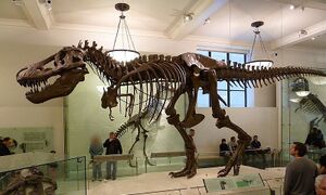 טירנוזאורוס רקס