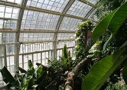 מבט מבפנים על בית הפרפרים