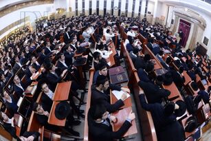 בית המדרש 2017
