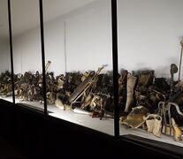 תצוגת פרוטזות