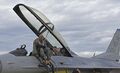 צ'ארלס בראון במטוס F-16