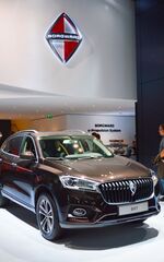 בורגווארד BX7